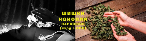 PSILOCYBIN Белокуриха