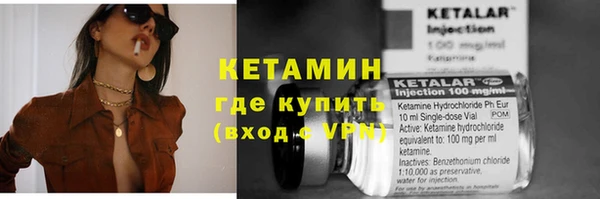 дмт Тайга