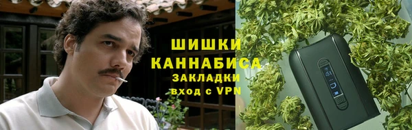 PSILOCYBIN Белокуриха