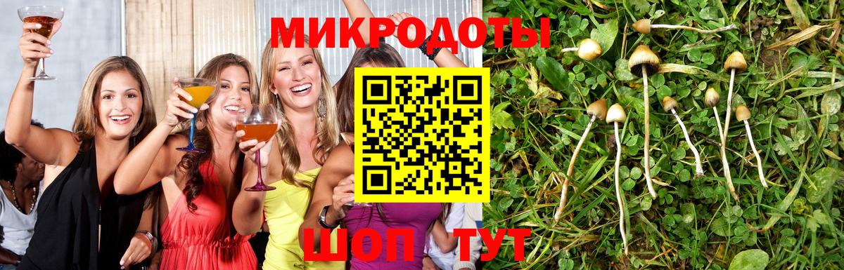 Горно-Алтайск  Псилоцибиновые грибы Magic Shrooms  Псилоцибиновые грибы ЛСД  хочу наркоту  Вход с VPN 